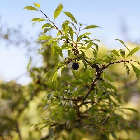 度假居 Fy339-martofte-fynshovedvej-786